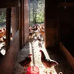 Borgo Titol Gospodarstwo agroturystyczne Tramonti di Sopra