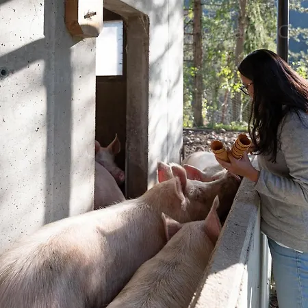ファームステイ Borgo Titol Tramonti di Sopra