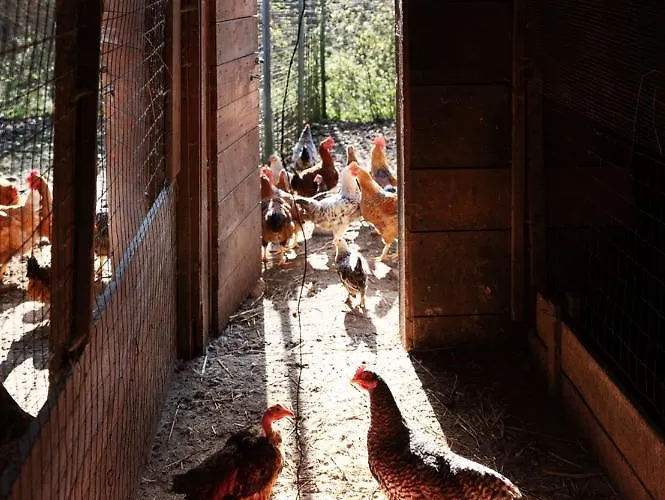 Borgo Titol Farmház Tramonti di Sopra